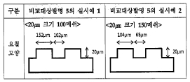 비교대상발명5의 실시예.jpg