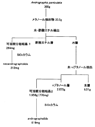 1. 비도2.png